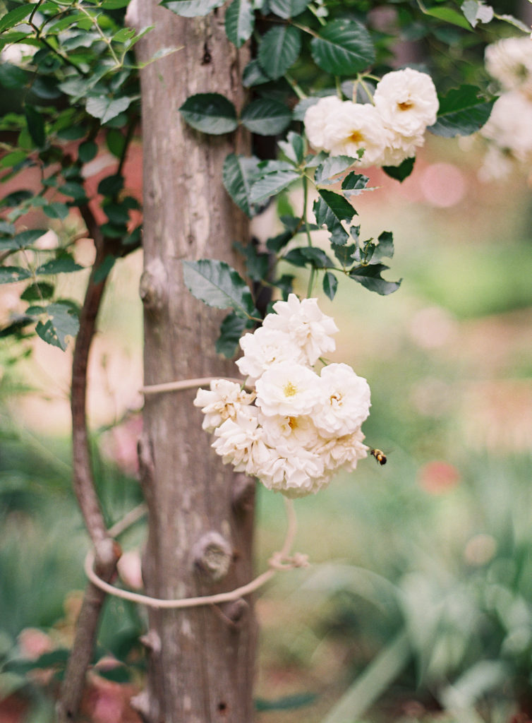 Garden Wedding & Bridal Gown